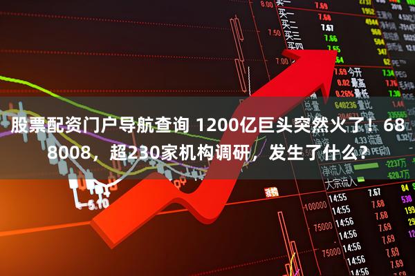 股票配资门户导航查询 1200亿巨头突然火了！688008，超230家机构调研，发生了什么？